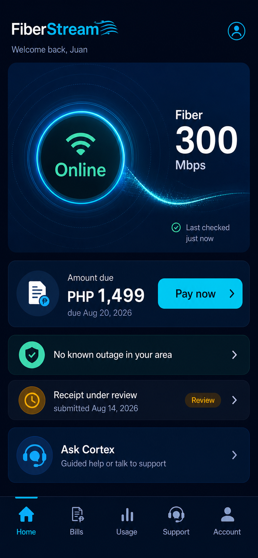 Illustrative FiberStream app screen showing service status, amount due, payment review and support.